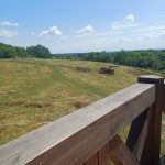 Resized 20250719 141812 1752934667247