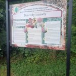 Resized 20250719 144702 1753870729720