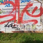 Resized 20250719 151211 1753870686648