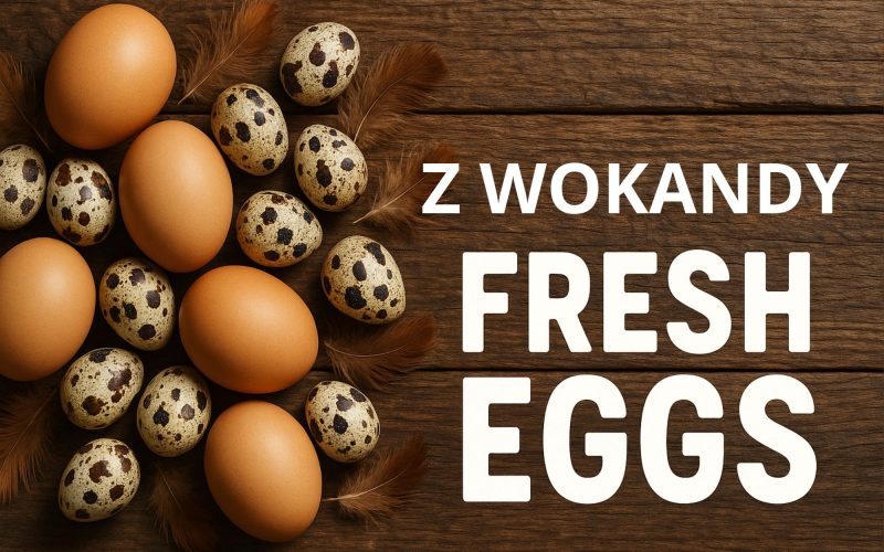 Zbył cudze mieszkanie, pieniądze zatrzymał. Rok więzienia dla pośrednika z Wrocławia