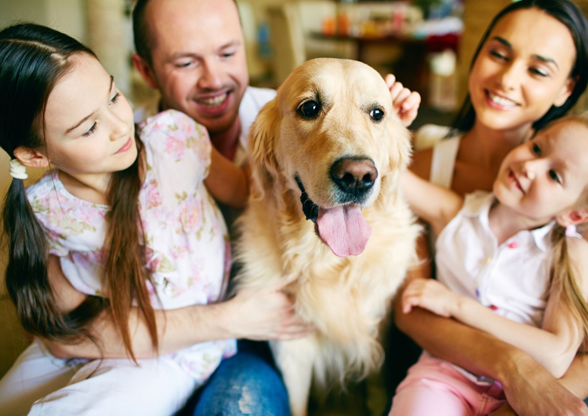 Dog jak dziecko