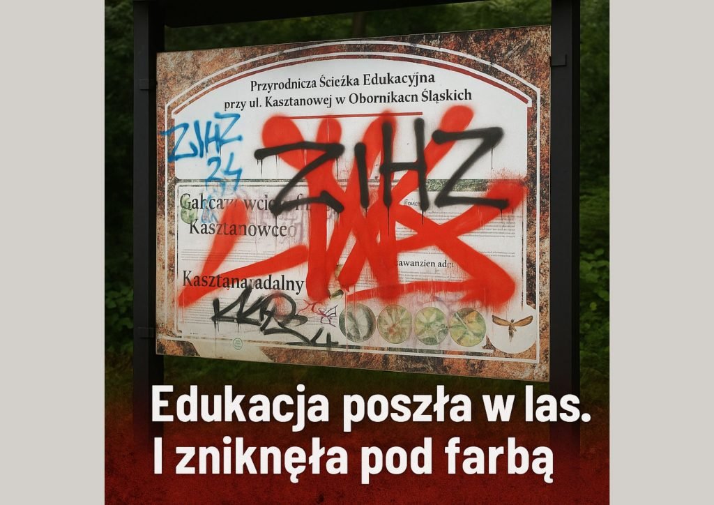 Edukacja poszła w las
