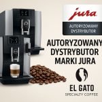 El gato i jura w trzebnicy