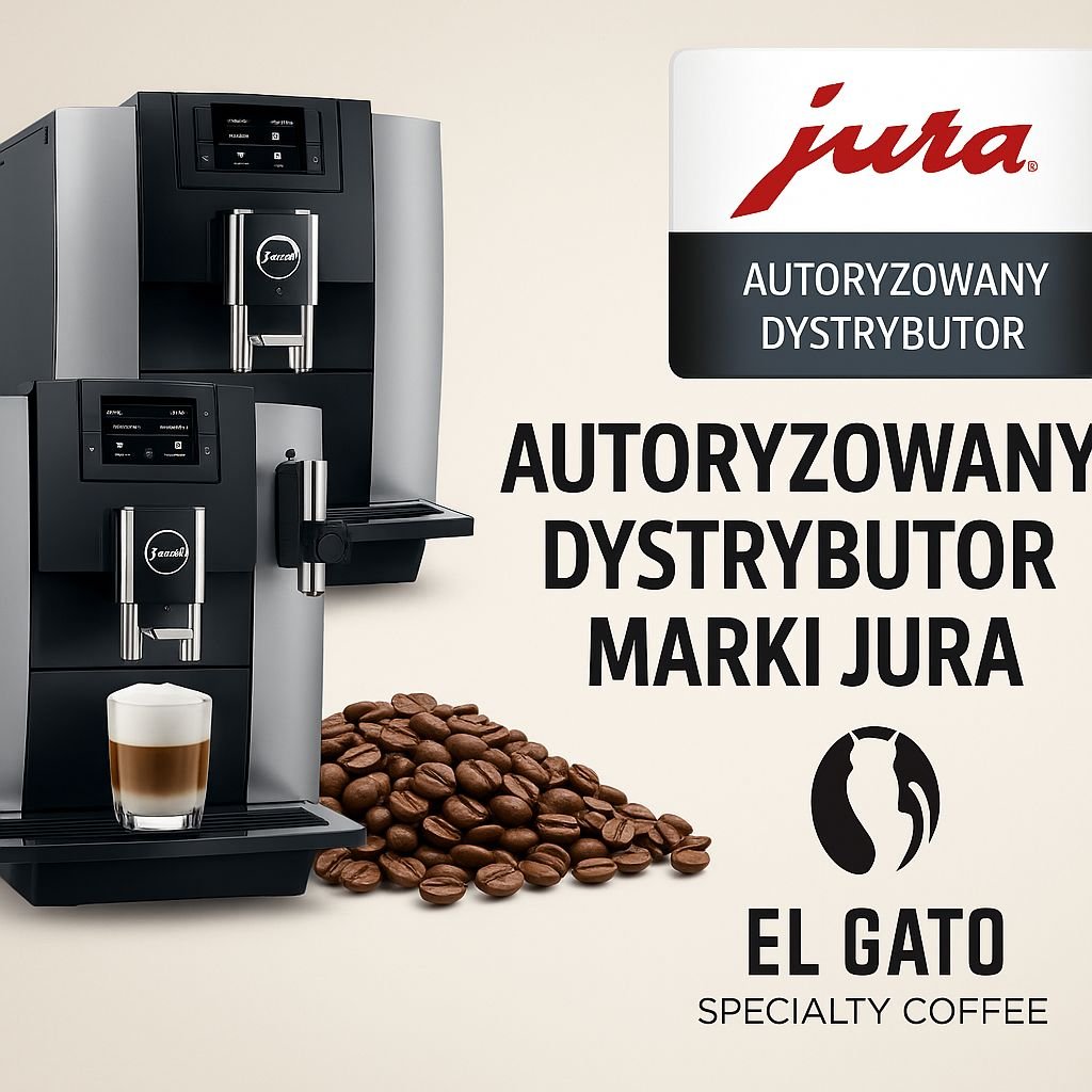 El gato i jura w trzebnicy