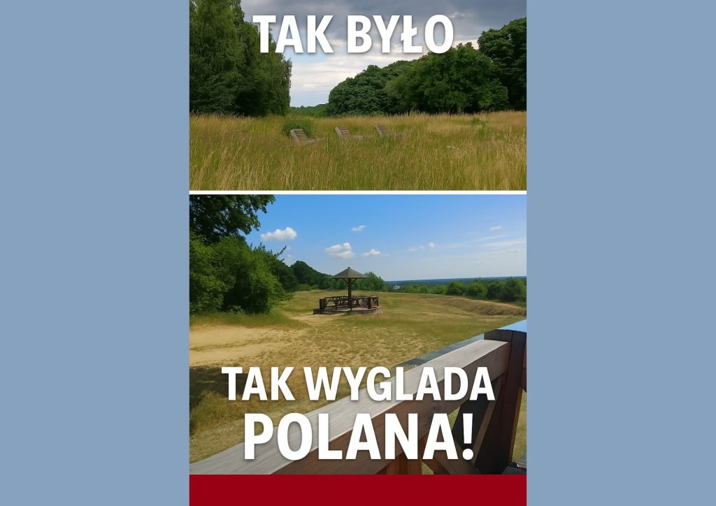 Grzybek przejrzał na oczy
