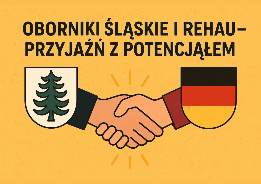 Partnerstwo miast fikcja czy rzeczywistosc