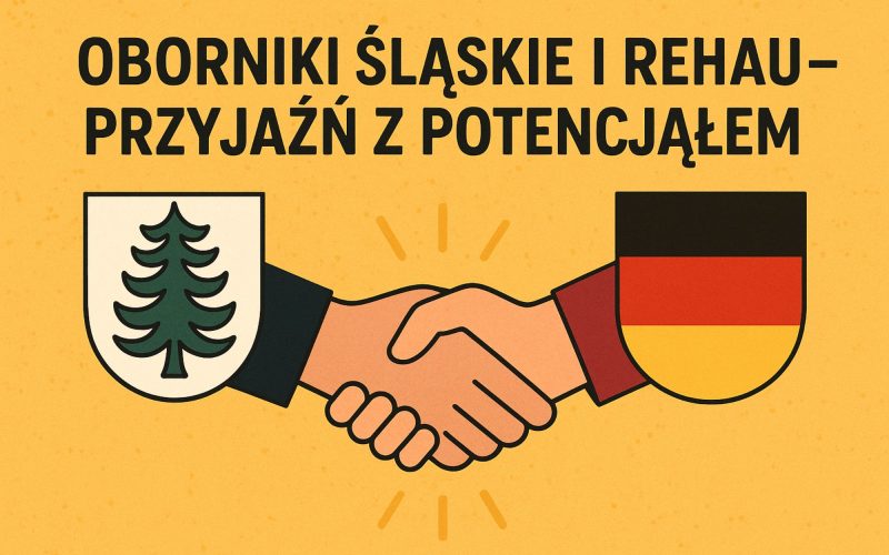 Partnerstwo miast fikcja czy rzeczywistosc