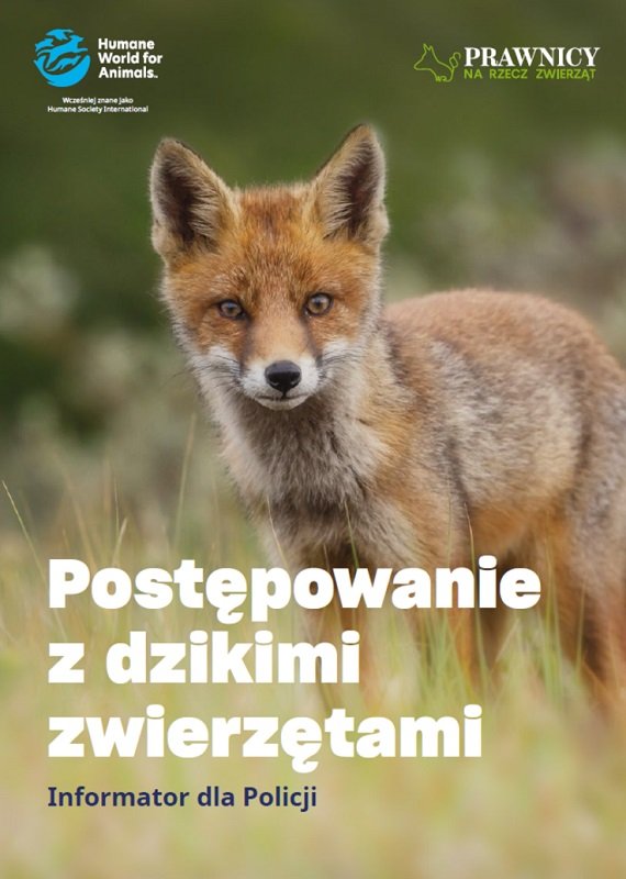 Policja i dzikie zwierzeta