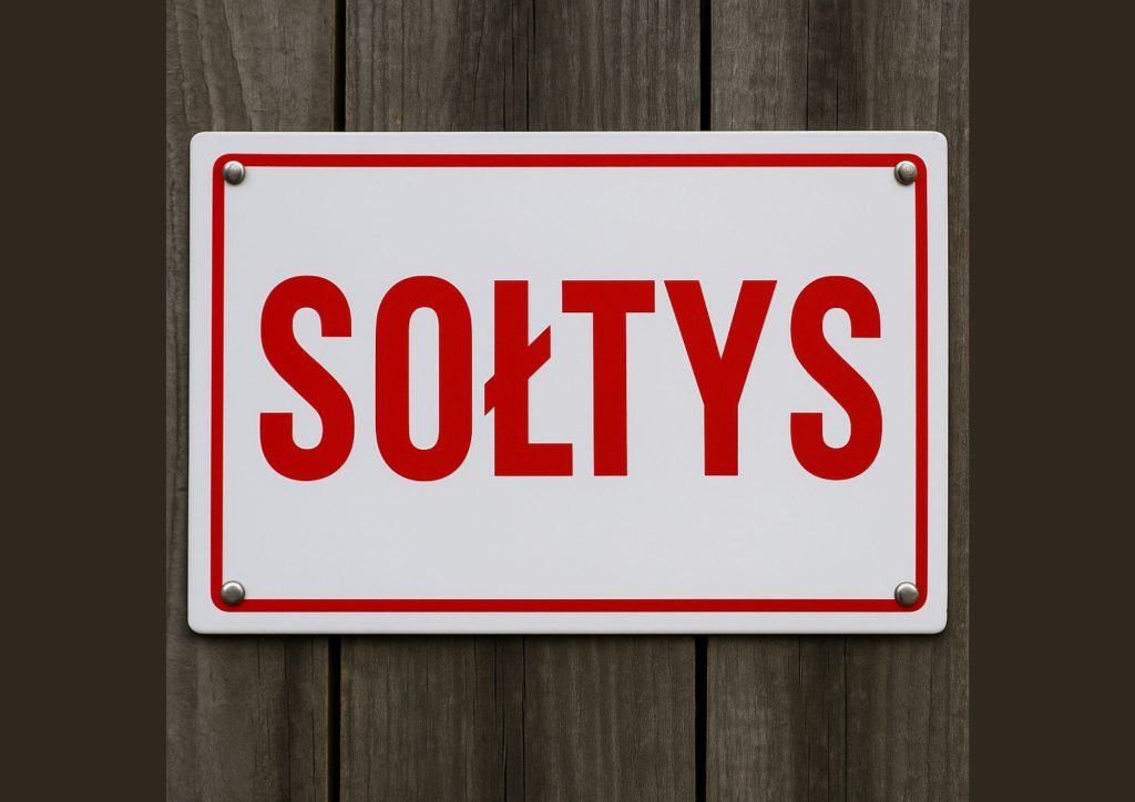 Sołtys i pieniadze za zlecenia