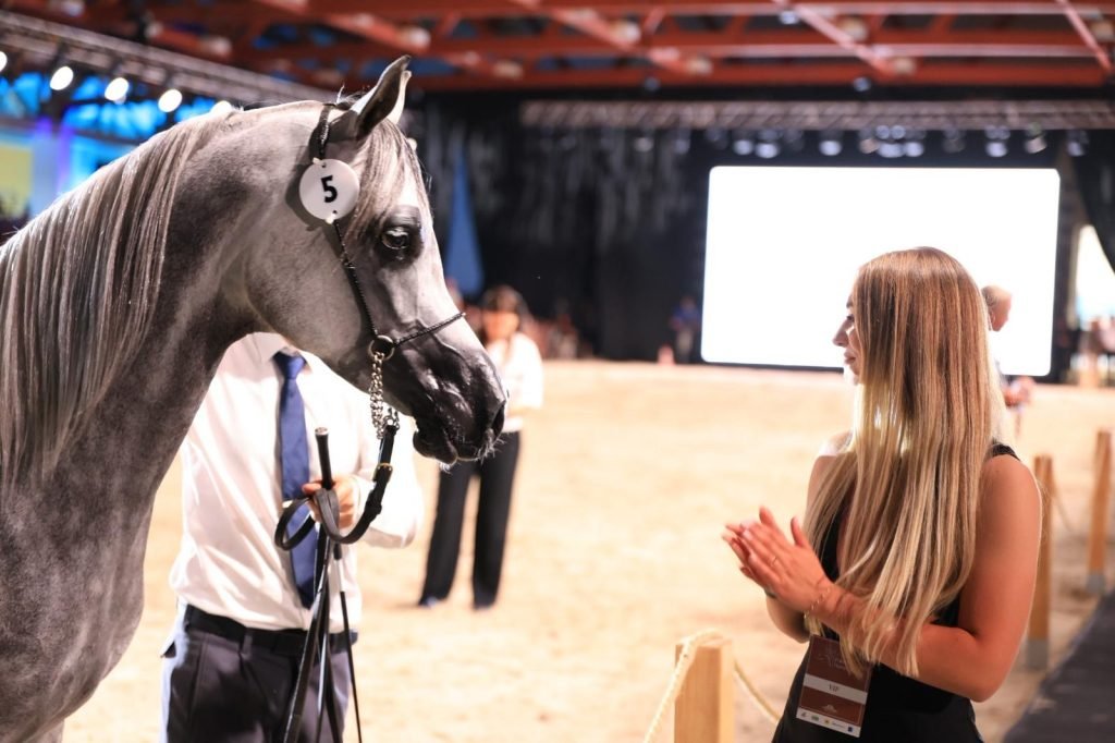 Aukcja pride of poland 2025 el gonna