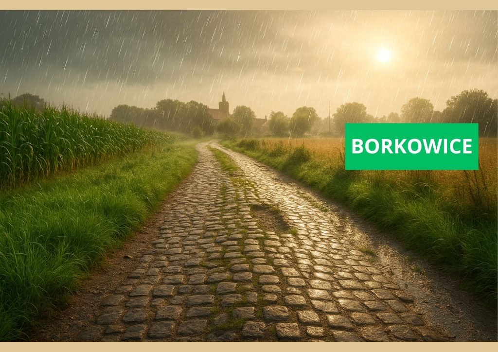 Borkowice i droga
