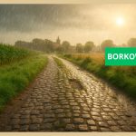 Borkowice i droga