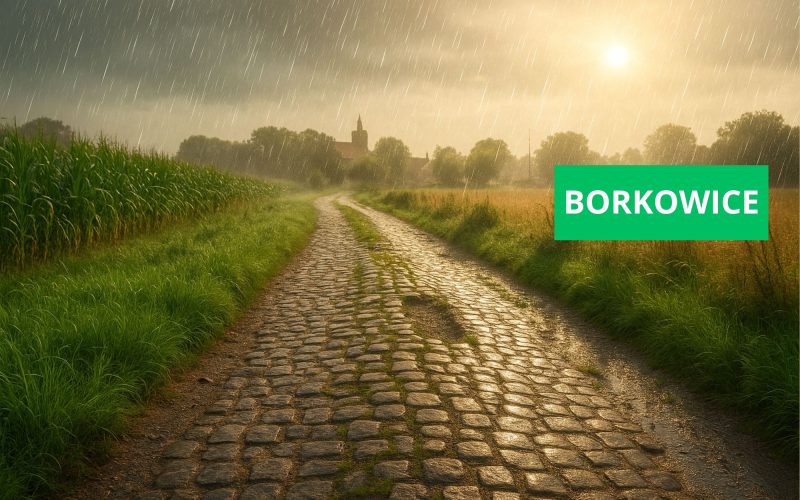Borkowice i droga