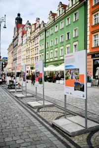 Gra 6665 683x1024.jpg