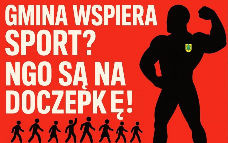 Gmina wspiera NGO?