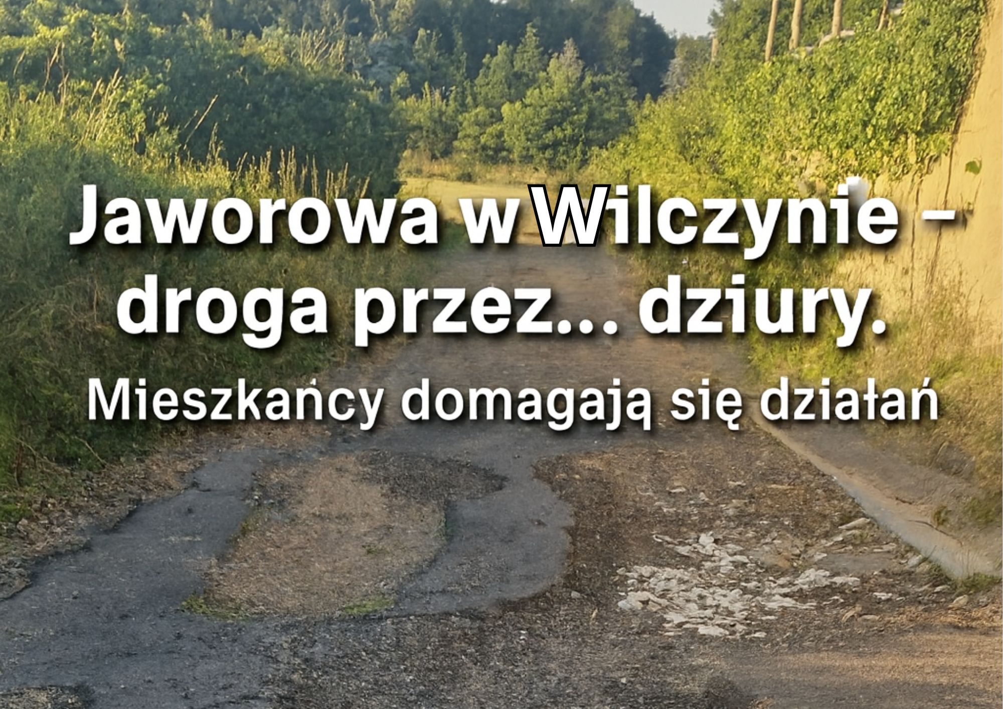 Wilczyn z asfaltem który znika