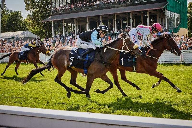 Wyścigi konne fot. agata władyczka