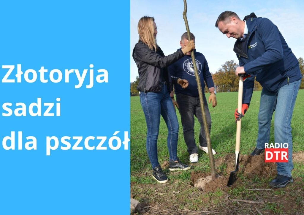 drzewa dla pszczol