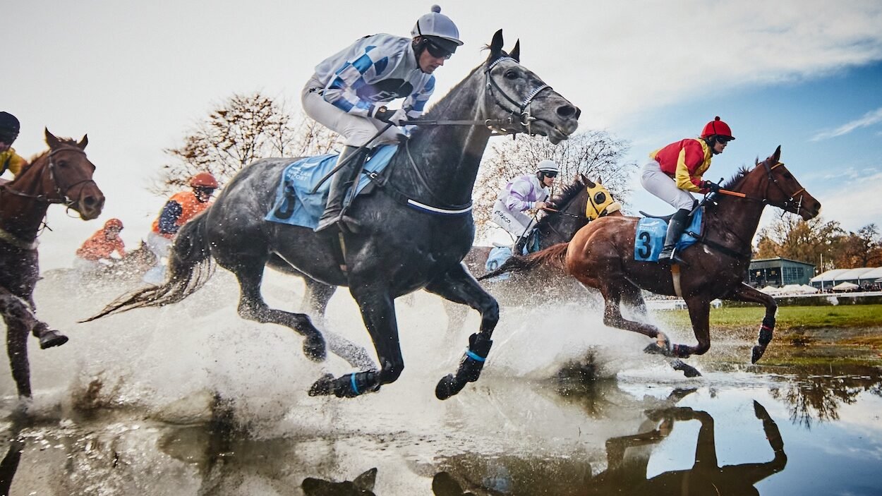 fot. agata władyczka (6)