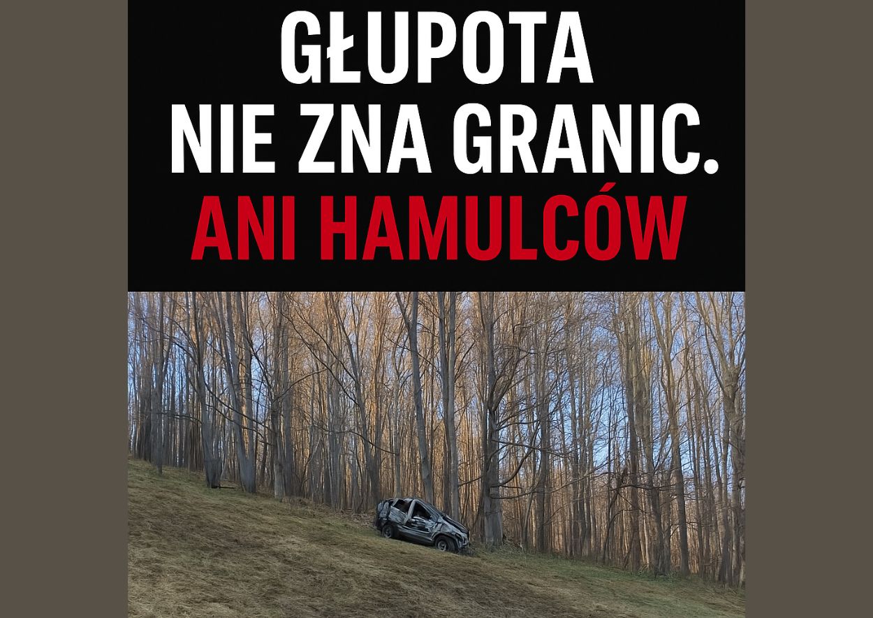 glupota na stoku