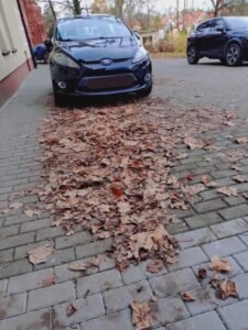 baner radia dtr live – kopia 1