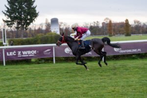 partynice 11 11 2025 01