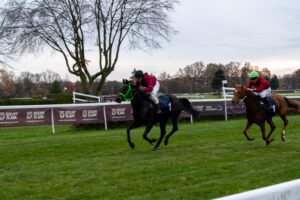 partynice 11 11 2025 02