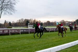 partynice 11 11 2025 03