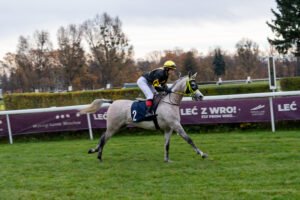 partynice 11 11 2025 05