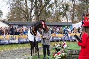 partynice 11 11 2025 06