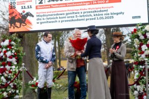 partynice 11 11 2025 07