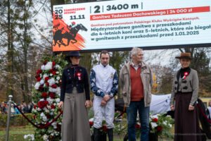 partynice 11 11 2025 08