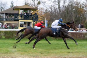 partynice 11 11 2025 11