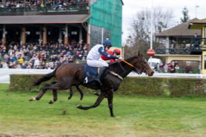 partynice 11 11 2025 12