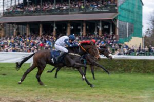 partynice 11 11 2025 13