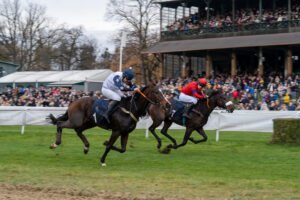 partynice 11 11 2025 14