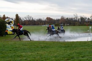 partynice 11 11 2025 16