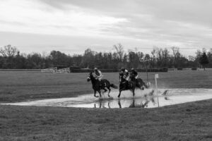 partynice 11 11 2025 17