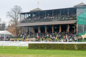 partynice 11 11 2025 18