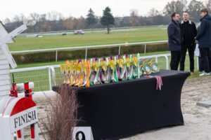 partynice 11 11 2025 22