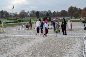 partynice 11 11 2025 23