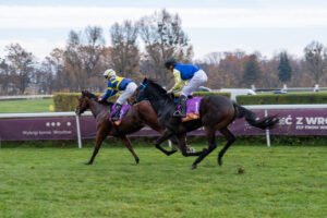 partynice 11 11 2025 25