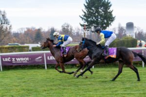 partynice 11 11 2025 26