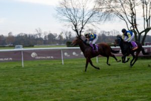 partynice 11 11 2025 27