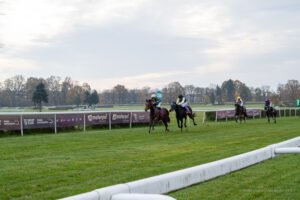 partynice 11 11 2025 28