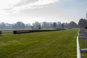 partynice 11 11 2025 29