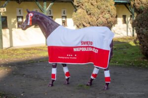 partynice 11 11 2025