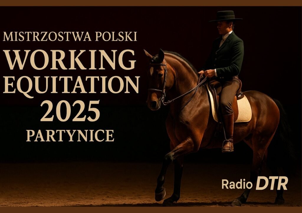 partynice zapraszaja na zawody w ujedzeniu sprawnosci i predkosci