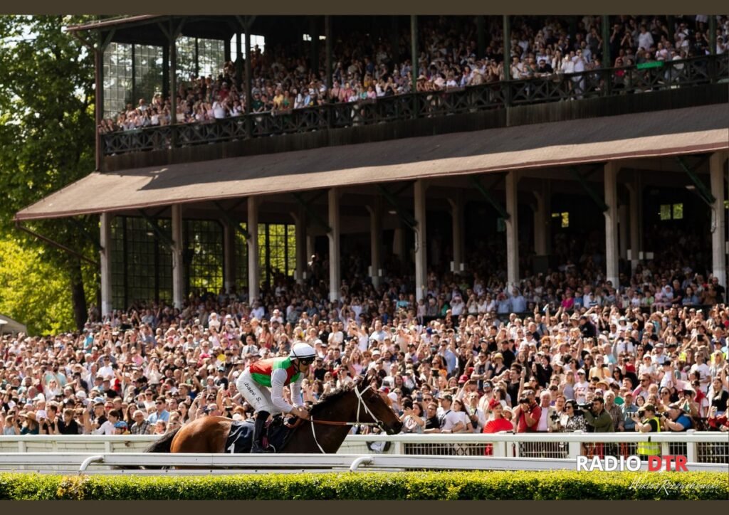 rekord frekwecji 2025