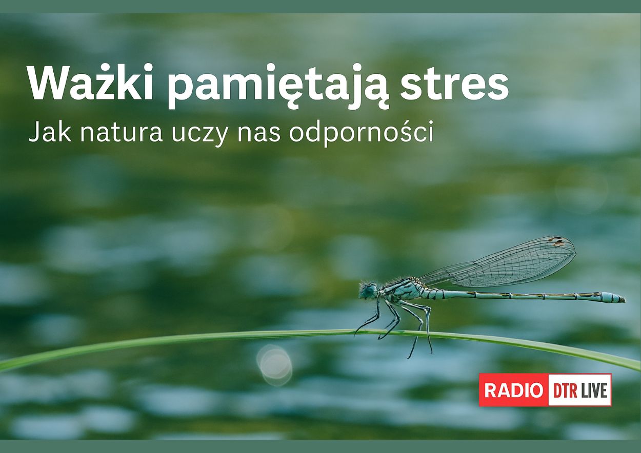 stres w naturze